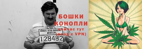 дживик Верея