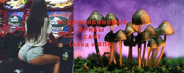 дживик Верея