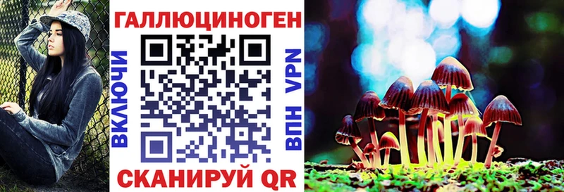Псилоцибиновые грибы Psilocybine cubensis  Тотьма 